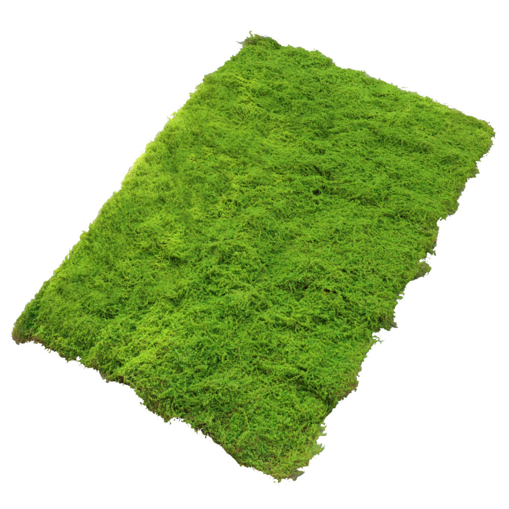 Kunstgras-Matte aus Kunstmoos, – Preserved Moss Sheet Bewertung und Preis