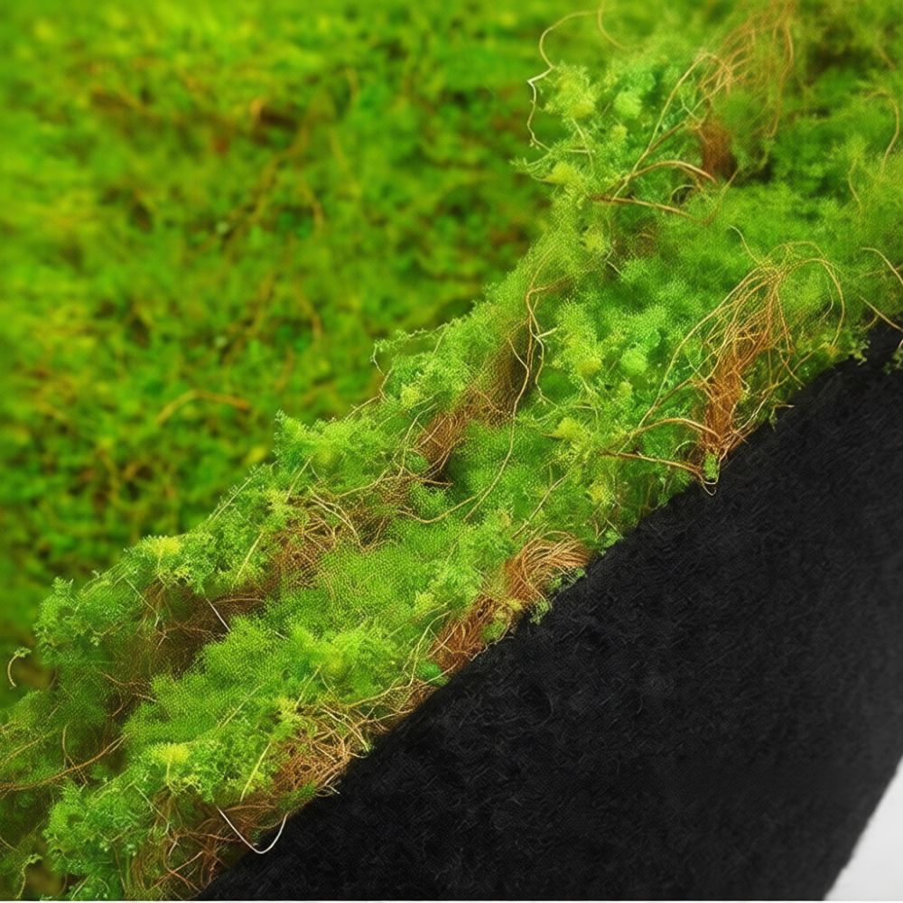 Kunstgras-Matte aus Kunstmoos, – Preserved Moss Sheet Bewertung und Preis
