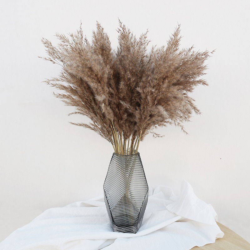 10 Stück Bunte Natürliche Schi – Florist Supply Vases Bewertung und Preis